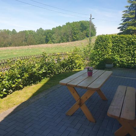 Die Gemuetliche Ferienwohnung Fuer Jedermann! Oppach Esterno foto