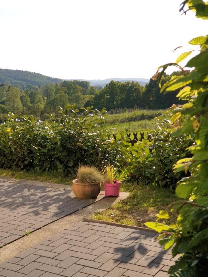 Die Gemuetliche Ferienwohnung Fuer Jedermann! Oppach Esterno foto